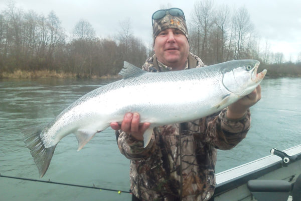 Beautiful Winter Steelhead caught on Cowlitz River..